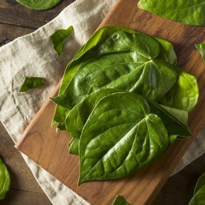 Make Your Balcony Look Good With Betel Plants