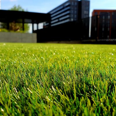 6 Reasons Why to Choose Artificial Grass For Garden